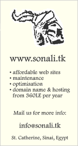 sonali.tk affordable web design